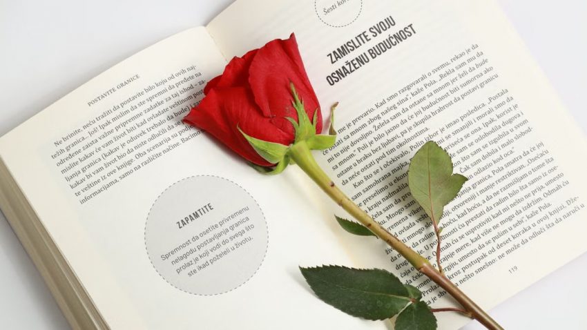 A vibrant red rose placed on the pages of an open book, offering a peaceful and romantic aesthetic.